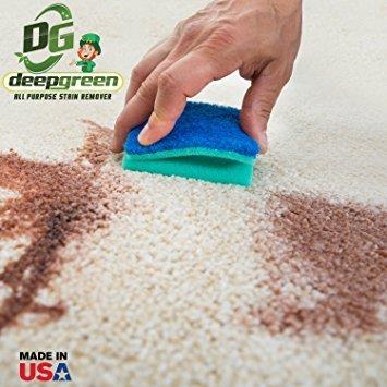 Deep Green All Purpose Stain Removal Formula - Best Carpet Cleaner - Non-Toxic  Odorless Pet Spot Remover 16oz Tub Makes up to 10 Quarts)